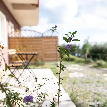 Lorraine's Style Studios, Swimming Pool And Bbq Only For Guests Lourdata (Kefalonia)