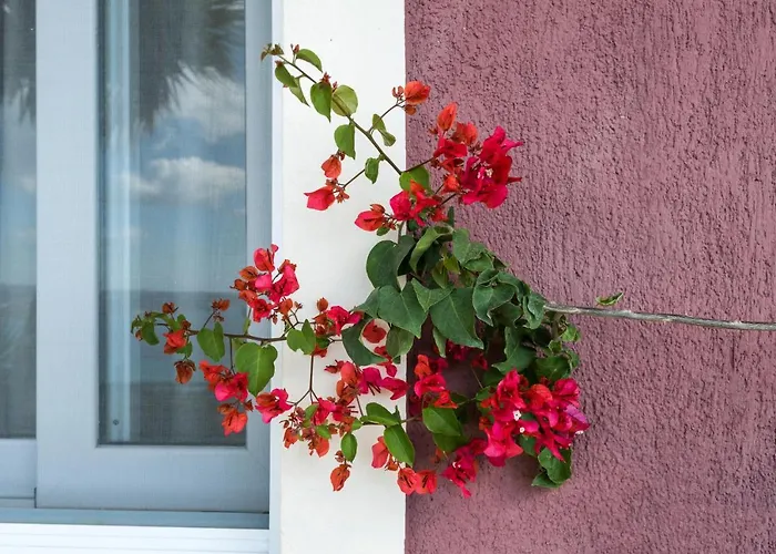 Lorraine's Style Studios, Shared Swimming Pool And Bbq Only For Guests At Simotata Village Apartament *