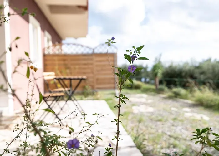 Lorraine's Style Studios, Shared Swimming Pool And Bbq Only For Guests At Simotata Village Lourdata (Kefalonia)